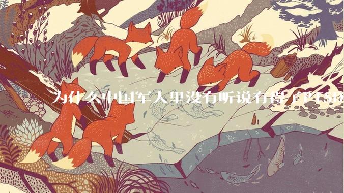 为什么中国军人里没有听说有得了PTSD的？