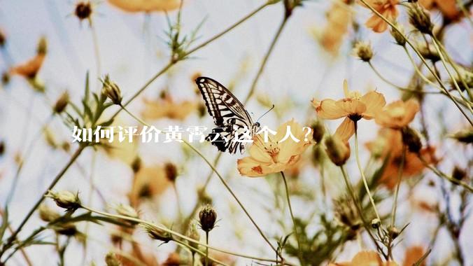 如何评价黄霄云这个人？
