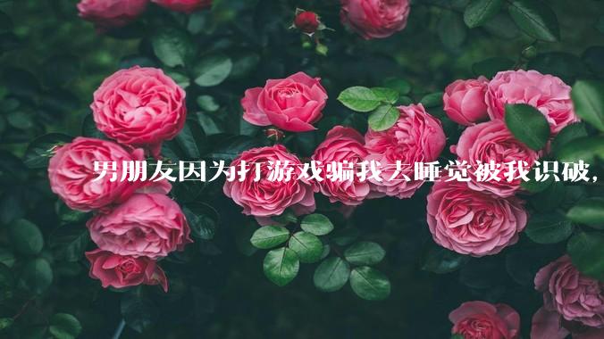 男朋友因为打游戏骗我去睡觉被我识破，然后我提了分手，他同意了，问问男孩子们他怎么想的？