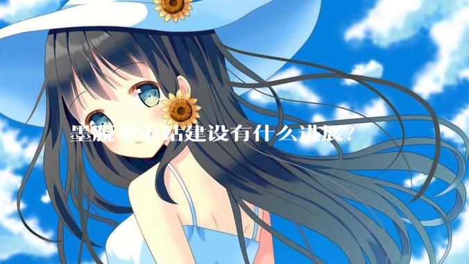 墨脱水电站建设有什么进展？