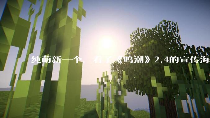 纯萌新一个，看了《鸣潮》2.4的宣传海报，它玩法是什么样的，适不适合手残党，建议入坑吗？